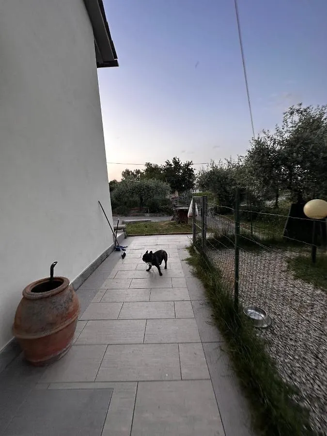 Affittacamerelaquerce Monte San Savino Guest house